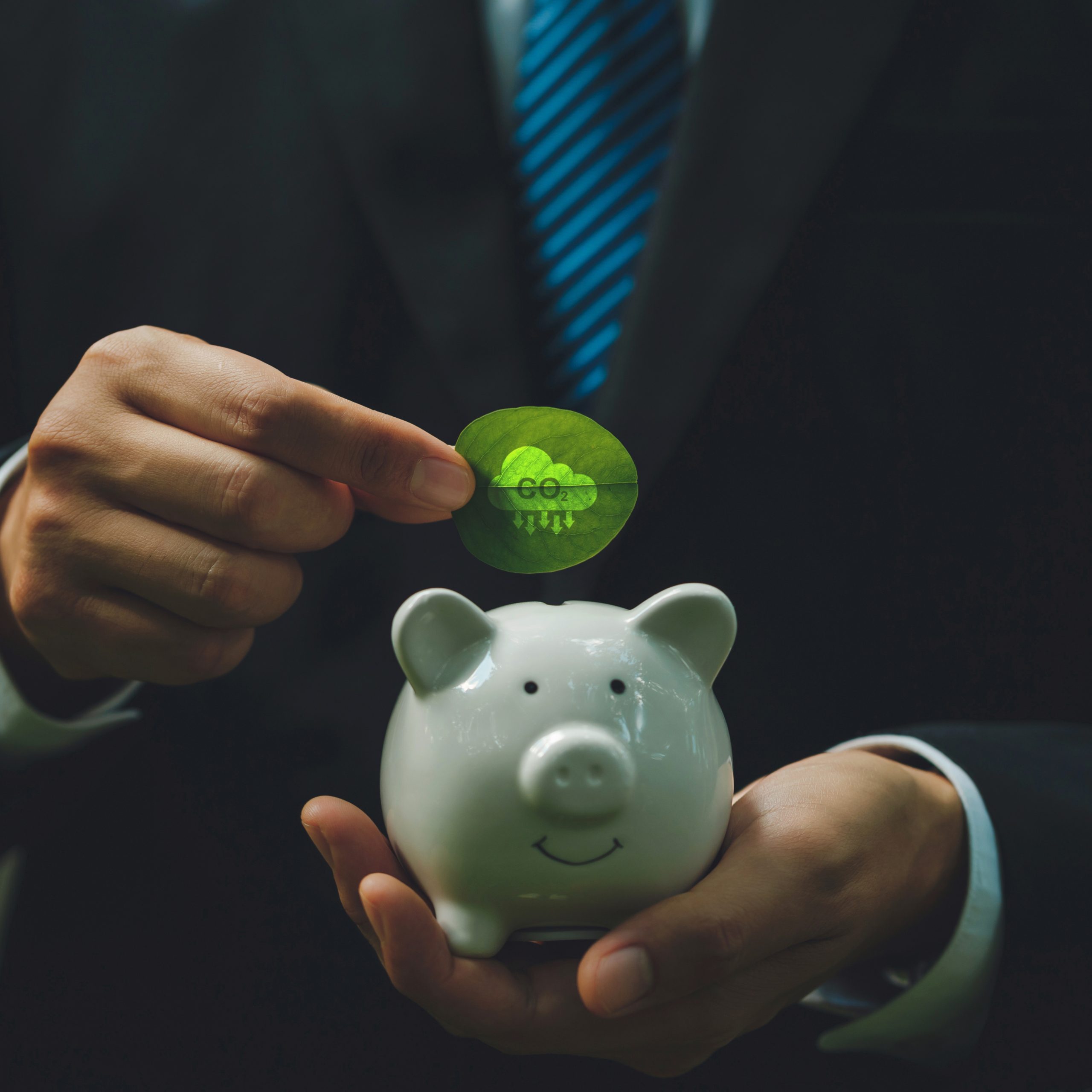 Is Sustainable Marketing a need of the era ?